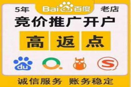 电商平台信息流广告的投放策略与效果评估案例